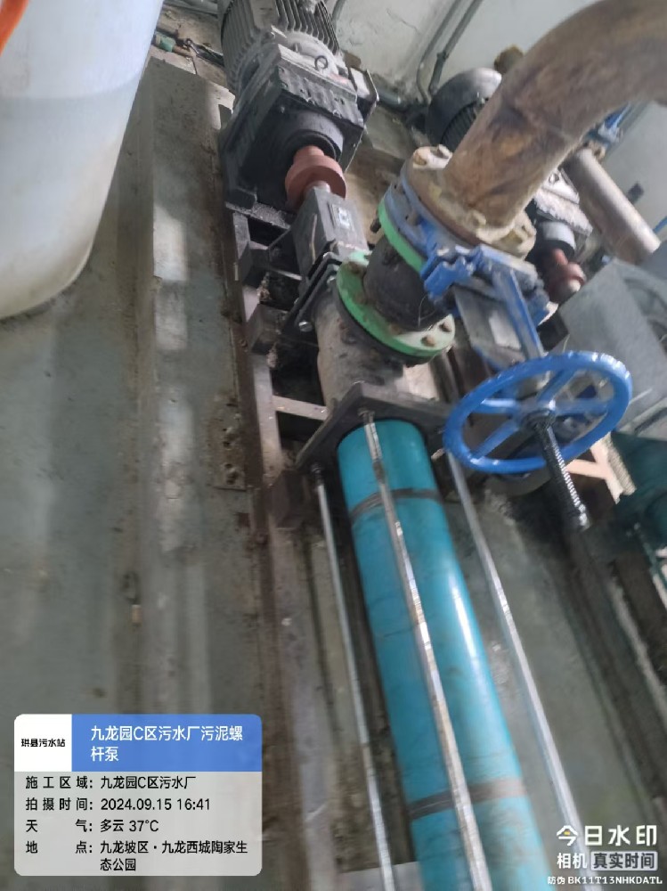 陶家污水廠螺桿泵維修